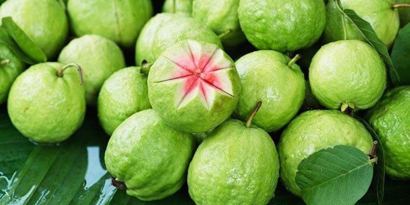 Người bị bệnh dạ dày có thể ăn ổi không?