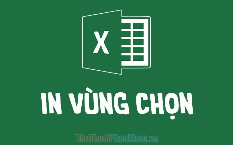 Hướng dẫn cách in vùng chọn trong Excel