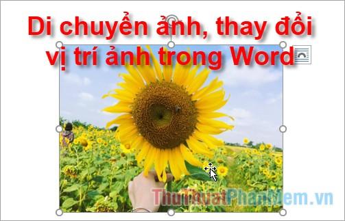 Hướng dẫn cách thay đổi vị trí ảnh trong Word