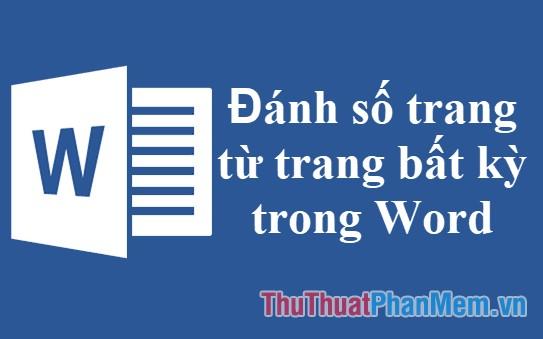 Hướng dẫn nhanh cách đánh số trang từ một trang bất kỳ trong Word năm 2025