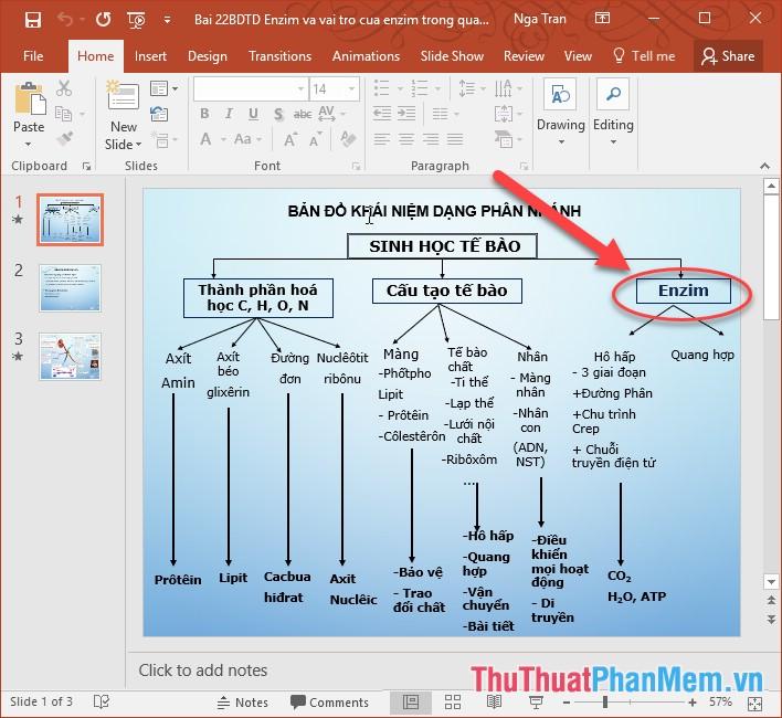 Nghệ thuật kết nối các slide trong bài thuyết trình PowerPoint một cách linh hoạt