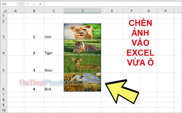 Cách chèn ảnh vừa khít ô trong Excel