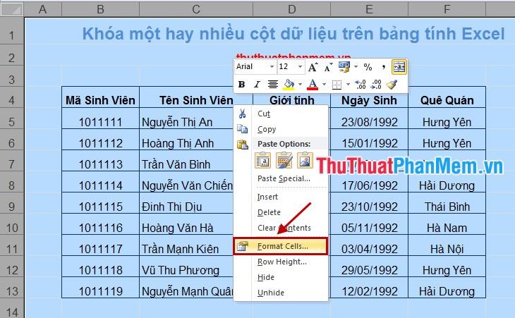 Cách khóa một hoặc nhiều cột trong Excel - Kỹ thuật đóng băng dữ liệu hiệu quả