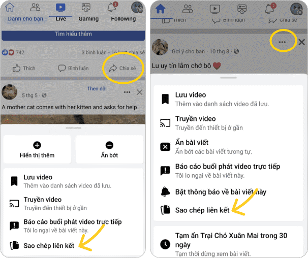 Cách tải video từ Facebook không cần sử dụng ứng dụng