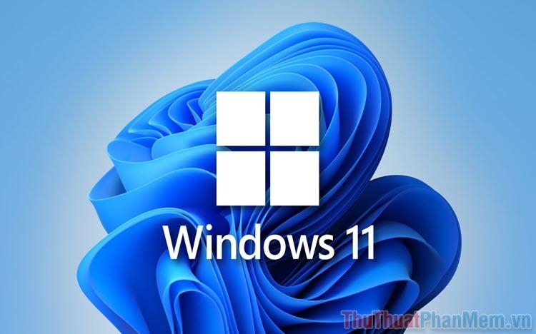 Hướng dẫn chi tiết cách cấp quyền quản trị viên (Administrator) cho tài khoản trên Windows 11