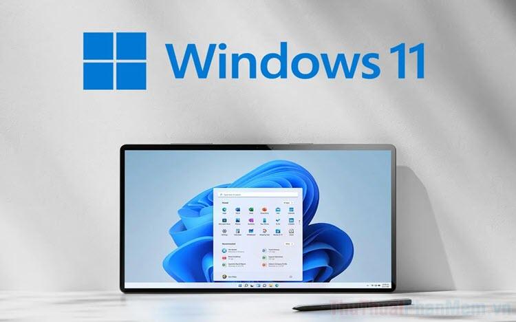 Cách luôn hiển thị thanh cuộn trang trên Windows 11 một cách đơn giản và hiệu quả