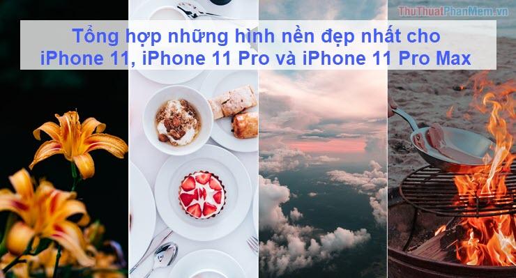 Tuyển tập hình nền ấn tượng nhất dành cho iPhone 11, iPhone 11 Pro và iPhone 11 Pro Max