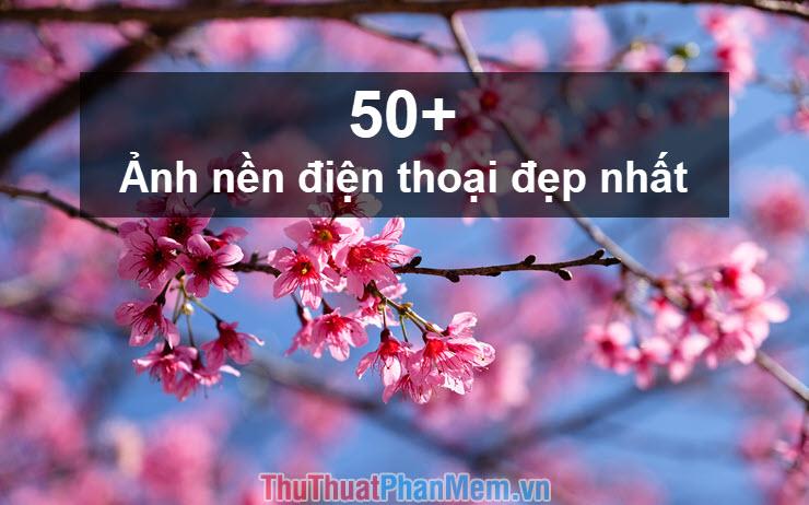 Khám phá bộ sưu tập hơn 50 hình nền điện thoại đẹp nhất, được tuyển chọn kỹ lưỡng