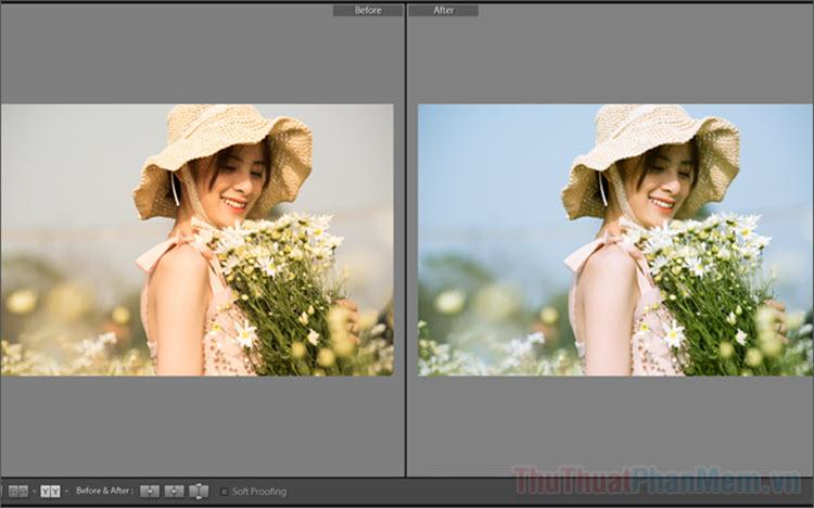 Tổng hợp link tải Preset Lightroom đẹp mê hoặc - Khám phá bảng màu Lightroom