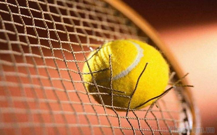 Nền Tennis đẹp mắt