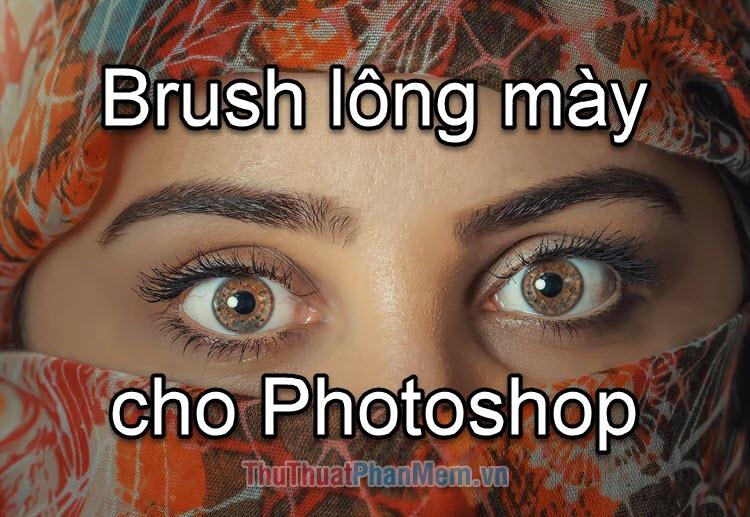 Bộ cọ vẽ lông mày dành cho Photoshop