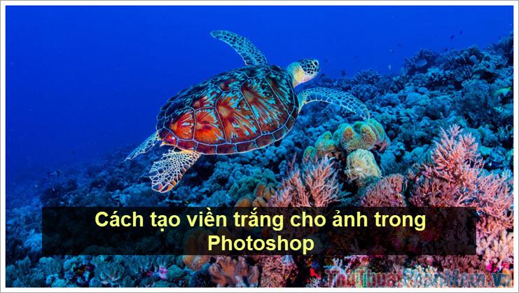 Hướng dẫn chi tiết cách thêm viền trắng cho ảnh trong Photoshop