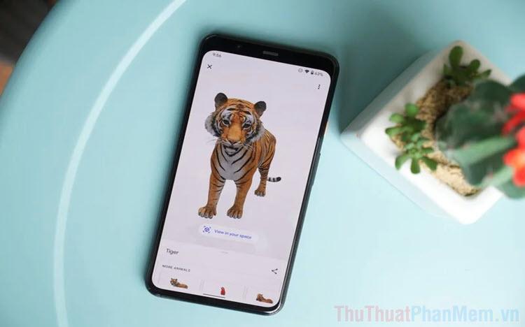 Khám phá cách trải nghiệm hình ảnh 3D thực tế ảo với Google