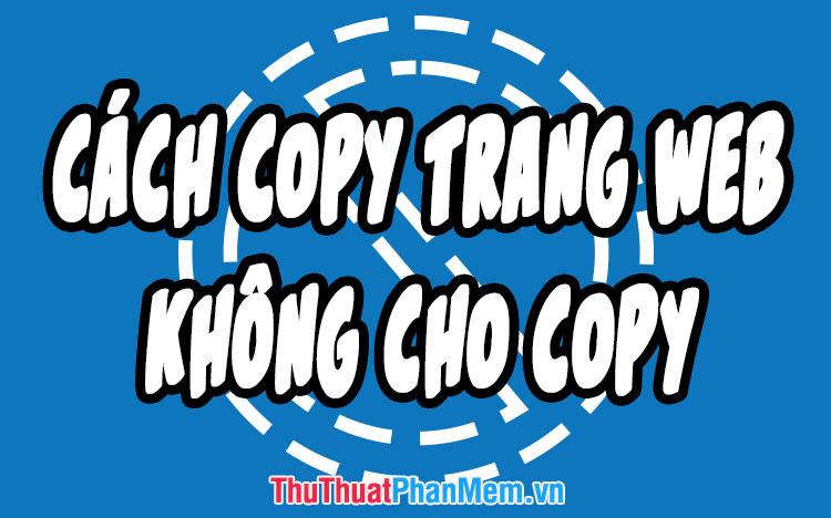 3 Cách sao chép từ trang web chặn copy nhanh và dễ dàng nhất