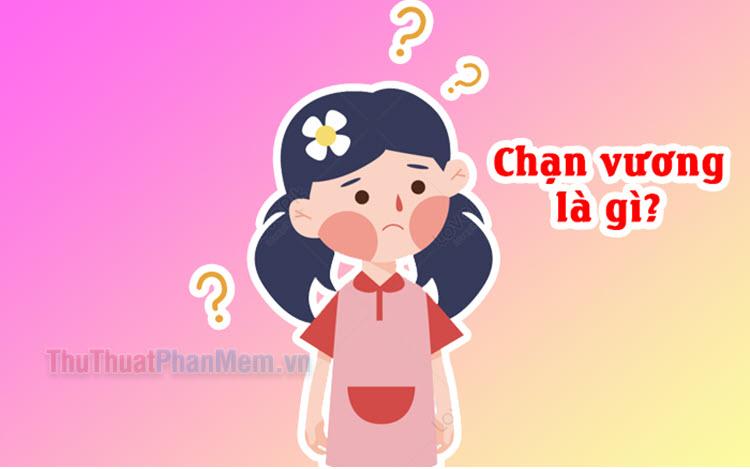 Khái niệm "Chạn vương" là gì? Tìm hiểu nguồn gốc và ý nghĩa đằng sau cụm từ này.