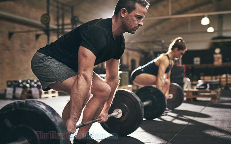 Deadlift là gì? Khám phá những bài tập deadlift cơ bản dành cho người mới bắt đầu hành trình thể hình