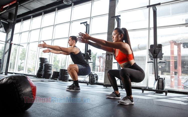 Squat là gì? Khám phá những bài tập squat cơ bản dành cho người mới bắt đầu hành trình rèn luyện sức khỏe và vóc dáng.