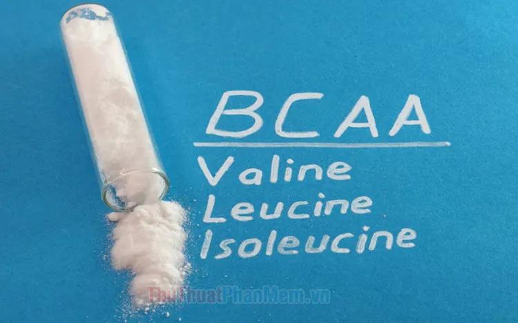 BCAA là gì? Khám phá top 5 sản phẩm BCAA được ưa chuộng nhất hiện nay