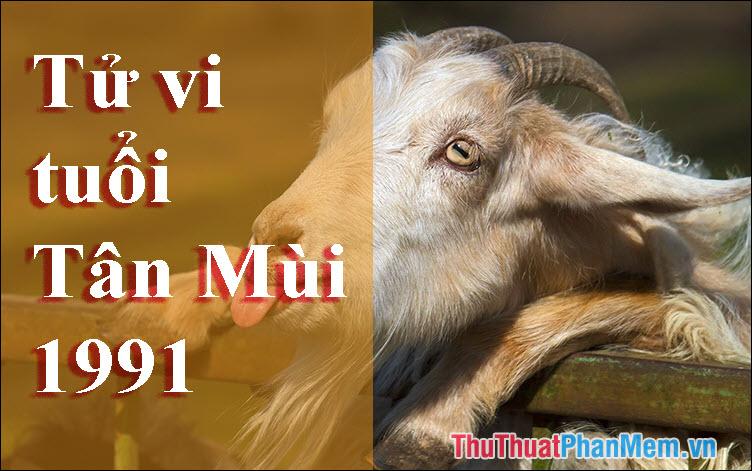 Người sinh năm 1991 thuộc mệnh gì? Tuổi con gì? Màu sắc, tuổi tác và hướng nào phù hợp nhất?