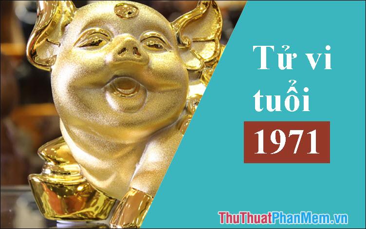 Người sinh năm 1971 thuộc mệnh gì? Tuổi con gì? Những màu sắc, tuổi tác và hướng nào sẽ mang lại sự hòa hợp và may mắn?