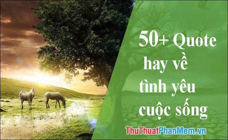 50+ Câu nói ý nghĩa về tình yêu và cuộc sống