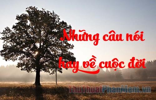 Những câu nói ý nghĩa về hành trình cuộc đời