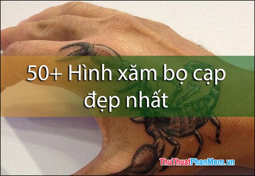 50+ Mẫu hình xăm bọ cạp đẹp và ấn tượng nhất