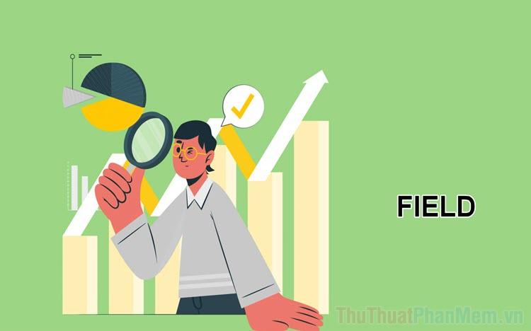 Field là gì? Khám phá định nghĩa của Field trong lĩnh vực tin học