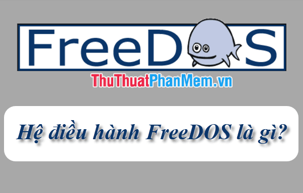 Free DOS là hệ điều hành gì và tại sao nó lại đặc biệt?