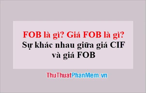 FOB là gì? Khám phá ý nghĩa của giá FOB và sự khác biệt giữa giá CIF và FOB