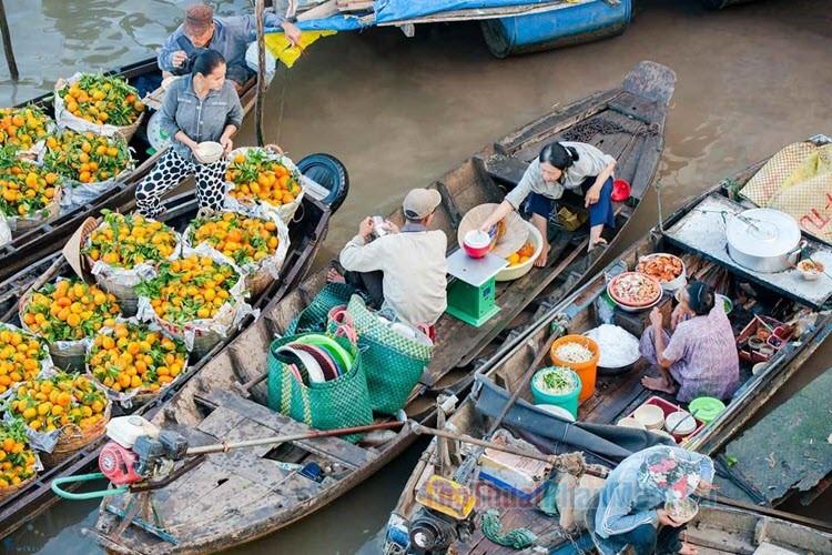 Hình ảnh quê hương miền Tây sông nước hiện lên với vẻ đẹp tuyệt mỹ, đầy mê hoặc