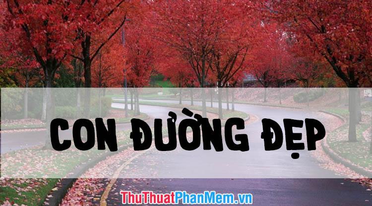 Những hình ảnh tuyệt đẹp về các con đường đầy mê hoặc