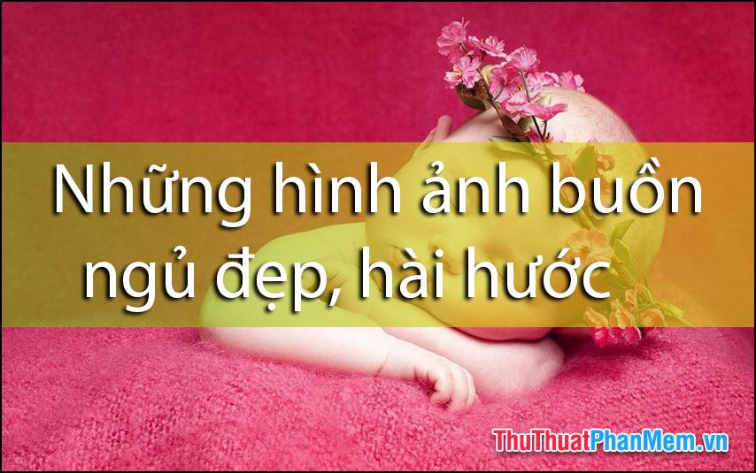 Những hình ảnh buồn ngủ đẹp, hài hước và dễ thương - khoảnh khắc đáng yêu khiến trái tim tan chảy.