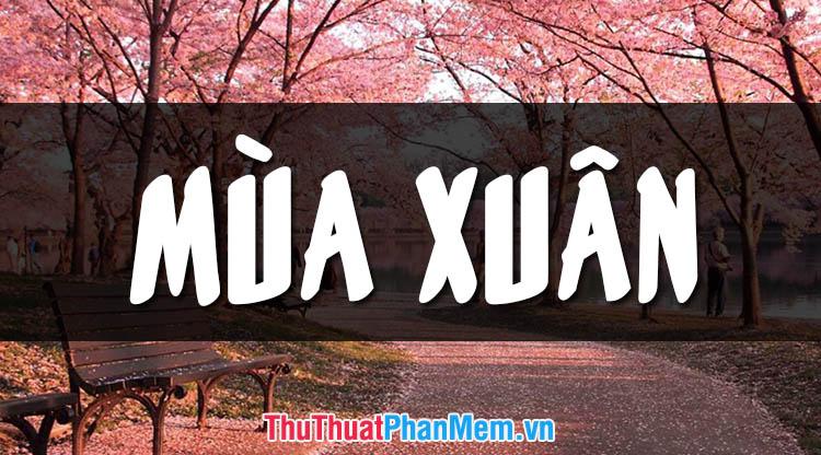 Những khoảnh khắc xuân tươi đẹp nhất của thiên nhiên