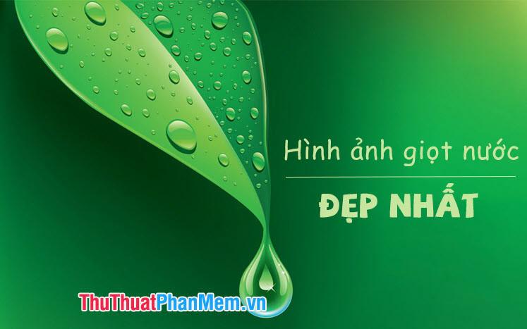 Khám phá vẻ đẹp tinh tế của những giọt nước qua bộ sưu tập hình ảnh tuyệt mỹ