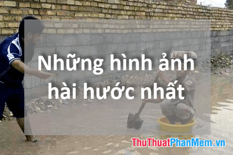 Khám phá thế giới ảnh hài - Tuyển tập những hình ảnh hài hước đỉnh cao