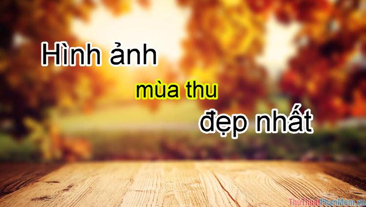 50+ Hình ảnh mùa thu tuyệt đẹp - Tuyển tập những khoảnh khắc mùa thu đẹp nhất, đầy cảm xúc và lãng mạn.