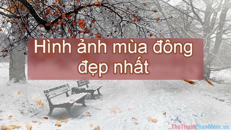 50+ Hình ảnh mùa đông - Tuyển tập những hình ảnh mùa đông đẹp nhất, mang đến góc nhìn độc đáo về mùa lạnh