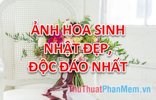 Hoa sinh nhật độc đáo - Tuyển tập những mẫu hoa sinh nhật đẹp và ấn tượng nhất