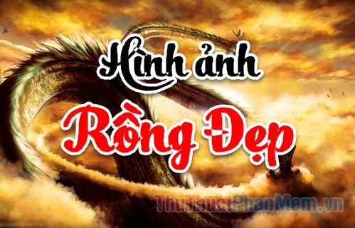 Hình ảnh rồng đẹp - Tuyển tập những hình ảnh con rồng ấn tượng và đẹp nhất