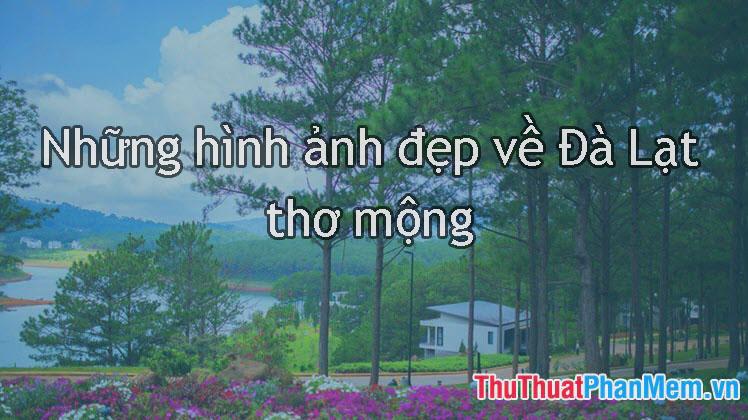 Những khoảnh khắc tuyệt đẹp về Đà Lạt - thành phố của sự thơ mộng và lãng mạn