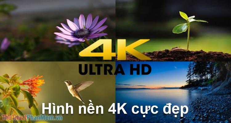 Tuyển tập hình nền máy tính 4K đẹp mắt - Tổng hợp Wallpaper 4K chất lượng cao dành cho máy tính