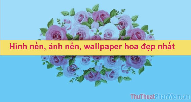 Hình nền hoa đẹp - Bộ sưu tập hình nền, ảnh nền, wallpaper hoa tuyệt đẹp