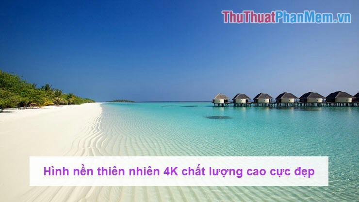 Bộ sưu tập hình nền thiên nhiên 4K chất lượng cao, đẹp mê hoặc dành cho màn hình độ phân giải lớn.