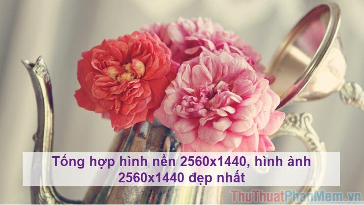 Tổng hợp những hình nền 2560x1440 đẹp nhất, chất lượng cao dành cho mọi thiết bị