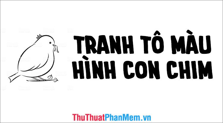 Tranh tô màu hình con chim dành cho bé - Khơi nguồn sáng tạo