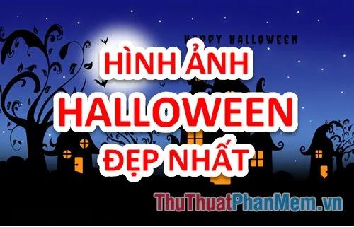 Bộ sưu tập hình ảnh Halloween đẹp nhất - Khám phá vẻ đẹp ma mị và độc đáo