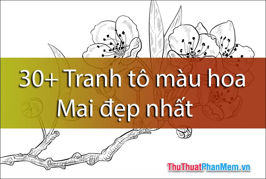 30+ Tranh tô màu hoa Mai tuyệt đẹp dành cho bé