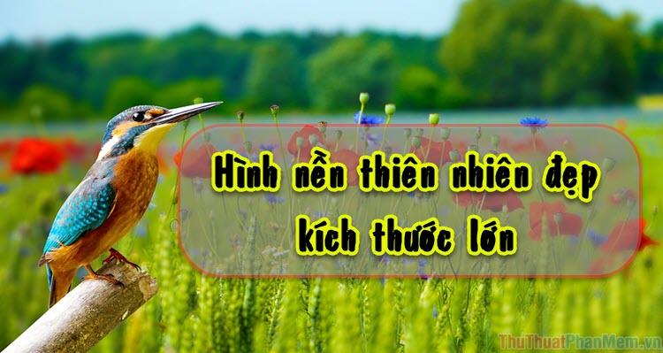 Khám phá bộ sưu tập hình nền máy tính thiên nhiên đẹp mắt với kích thước lớn, mang đến trải nghiệm hình ảnh sống động và chân thực.