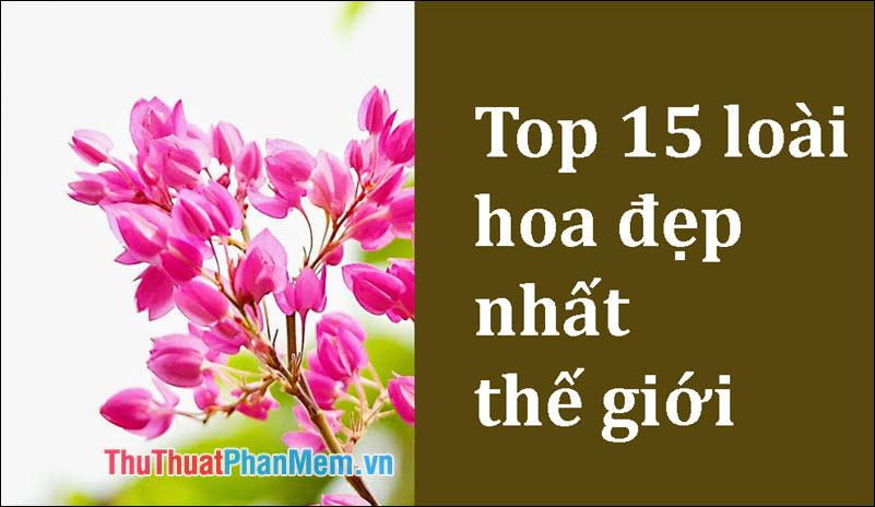 Top 15 loài hoa đẹp nhất hành tinh